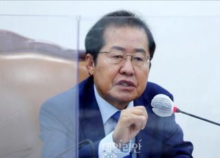 홍준표 "맹구처럼 '저요 저요'…듬직한 당대표감 없다"