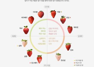 마켓컬리, 딸기 취향 찾기 세트 한정 판매