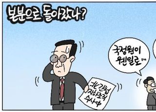 [D-시사만평] 국정원, 北 지령 받고 조직 활동 간첩 수사…'이제 제 역할하나'