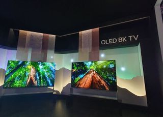 드디어 뜨는 OLED TV...세대교체에 국내 업계 화색