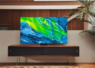 10년만의 삼성 OLED TV...판 커지는 올레드 시장