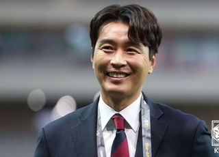 ‘라이온킹’ 이동국, 대한축구협회 부회장 선임