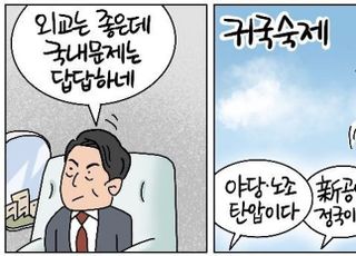 [D-시사만평] 윤석열 세일외교는 '성공'…귀국 숙제는 '산적'