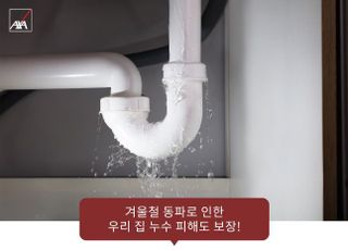 악사손보 "수도관 동파 피해도 보험으로 보장 가능"