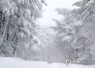 日서 홀로 등산 나선 한국인 30대男 실종…폭설로 수색 난항