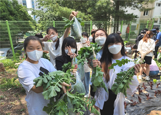 인천시 농업기술센터, 텃밭 가꾸기 초등학교 모집