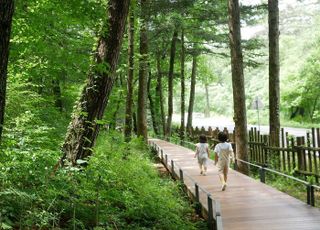 경기도, 산림휴양시설 38개소 조성... 숲 가꾸기·조림(8322ha)에 나서