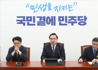 더불어민주당 정책조정회의