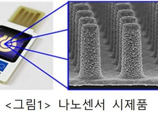 한국 나노센서 성능평가 기술, 국제표준 제정