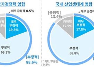 제조업체 대다수 노란봉투법 반대…"경제·산업·일자리 모두 부정적"