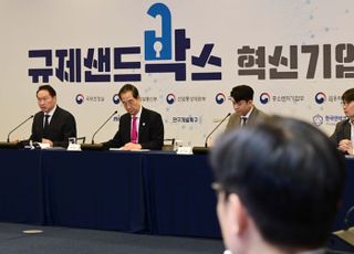 규제샌드박스 혁신기업 간담회