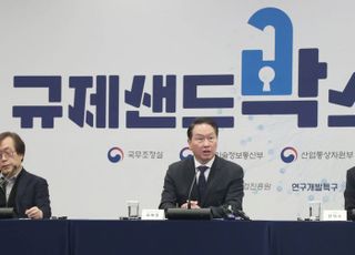 최태원 대한상의 회장 "규제샌드박스, 규제개선 수단으로 발전해야"