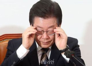 이재명 '체포동의 절차' 개시…법원, 검찰에 요구서 송부