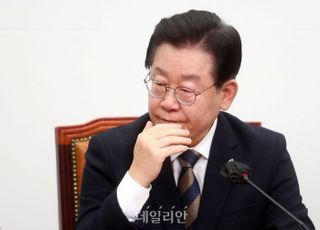 "이재명, 8년 전 '부동산 활성화 대장동 걱정 없어'"…檢 구속영장 적시