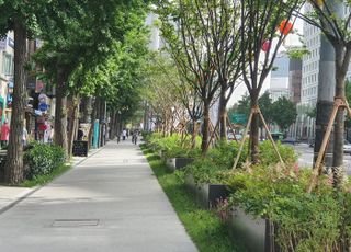 미세먼지 줄이고 보행편의 개선한다…서울시, 10만㎡ 규모 가로숲길 조성