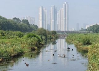 인천 연수구, 승기천 명품 하천 조성