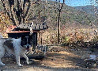 용인특례시, 농촌지역 실외서 키우는 개 중성화 수술 지원