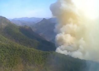 [속보] 전남 순천 산불, 2단계 격상…강한 바람에 확산