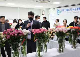 경기도농업기술원, 장미 ‘아리엘’ 등 육성품종 평가회