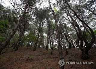 광주 야산서 비닐에 담긴 영아 시신 발견…경찰, 용의자 추적中