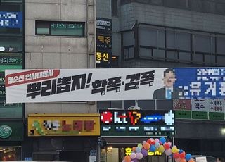 '마구잡이 설치' 정당 현수막…눈살 찌푸리는 시민들