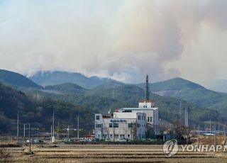 [속보] 산림청, 경남 합천 산불 '대응 3단계' 발령…강풍에 더 번져