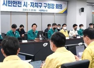 서울시 "정당 현수막 동마다 1개만, 신호등 가리면 설치 금지"