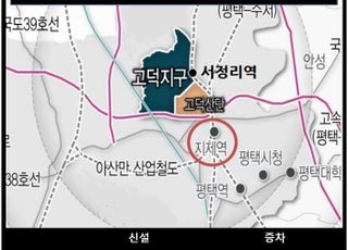 평택 고덕신도시, 강남역행 광역버스 신설 등 8개 사업 추진