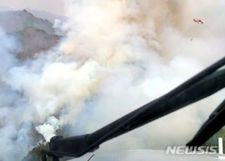 [속보] 경남 하동 산불 확산, 2단계 발령…재난 안내 문자 발송