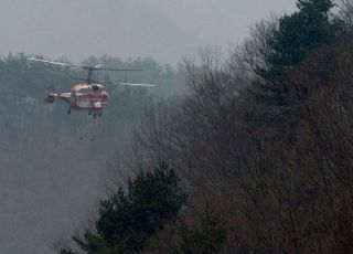 하동 산불 진화 완료…지리산국립공원 등 91㏊ 피해