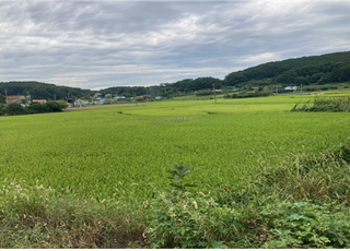 인천 중구, 공익 직접직불금 접수