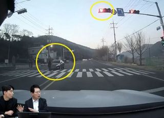 신호위반 해 보행자 '쾅' 들이받은 운전자…차에서 내리려다 역과까지 (영상)