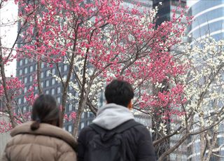봄꽃 보며 산책하는 시민들