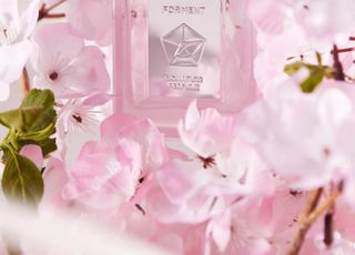 에이피알 포맨트, ‘코튼 메모리 벚꽃 에디션’ 한정판 출시