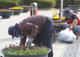 '전쟁기념관에도 봄이 왔어요'