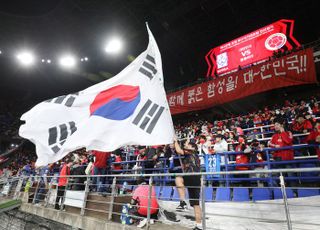 축구 국가대표 대한민국 대 콜롬비아 전, 뜨거운 응원 열기
