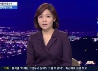 방송인 출신 기자 조정린, 오늘(25)일 비연예인 연인과 결혼