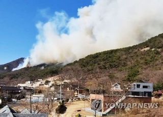 인천 강화도 마니산 큰 불, 대응 2단계 발령