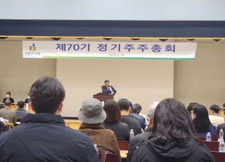 '순수 파운드리' 꿈꾸는 DB하이텍, 주총서 물적분할 안건 통과