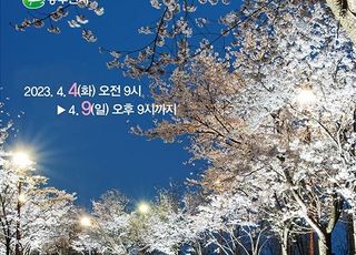 동두천시 자유수호평화박물관 벚꽃맞이 야간개장
