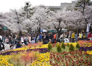 '경기도청 봄꽃축제' 내달 7일 개막