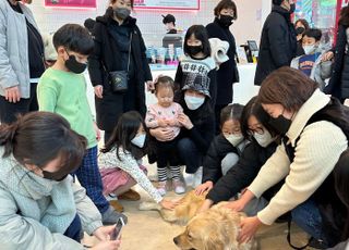 경기도, 유기견 훈련시켜 동물 매개 활동(치료)견으로 양성