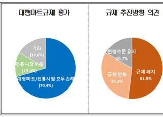 대형마트 규제 10년…"전통시장 수혜 없이 소비자 불편만 초래"