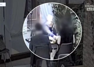 '박원순 변호인' 정철승, 성추행 의혹 CCTV 공개 파장…"장난질 치고 싶으면 해보시오"