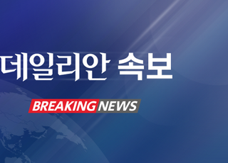 [속보] 평택 논에 미군 F-16전투기 추락…조종사 극적 탈출