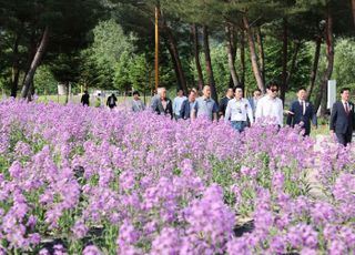 가평 '자라섬 꽃 축제' 5일 2만 여 명 방문 '성황'