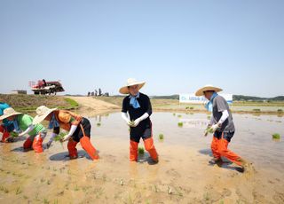 경기도, 지역특화 품종 육성…‘벼 모내기’ 시연