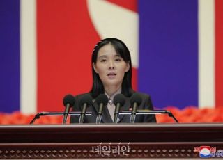 '불량국가 홍보대사' 김여정 "자주적인 나라 적지 않아"