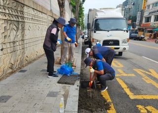 남양주시 진접읍, 빗물받이 청소로 수해 예방한다