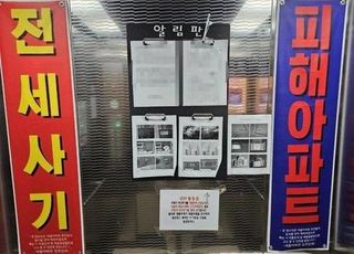 전세사기 첫 사례…300억대 편취 건축왕 일당 범죄단체조직죄 기소